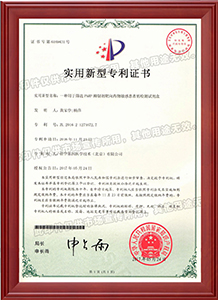 證書-一種用于篩選PARP抑制劑靶向藥物敏感患者的檢測(cè)試劑盒-實(shí)用新型