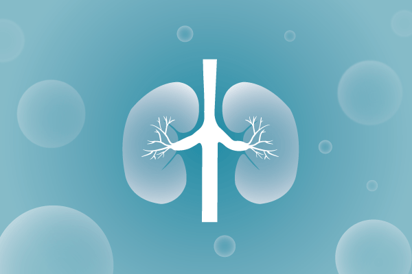 泌尿系統(tǒng)，腎臟，膀胱，尿病，腎不好遺傳病、基因病、罕見病的基因解碼，基因檢測，基因篩查與分子診斷