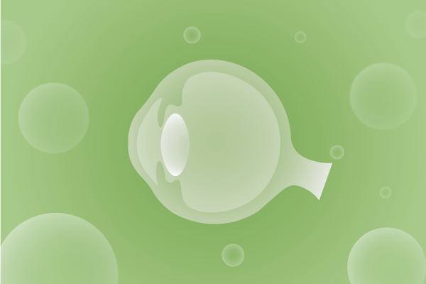 眼科，視光中心，眼科診所，眼睛相關遺傳病、基因病、罕見病的基因解碼，基因檢測，基因篩查與分子診斷