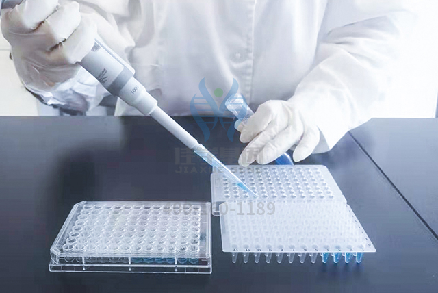 基因+人工智能，