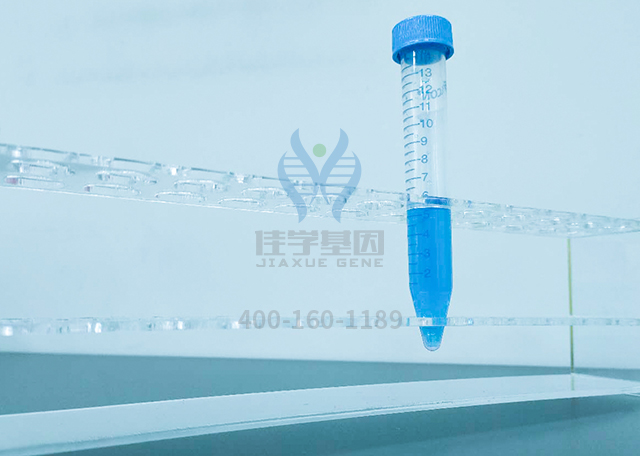 正確醫(yī)療，讓每