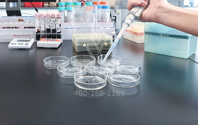 梅艷芳二哥梅德