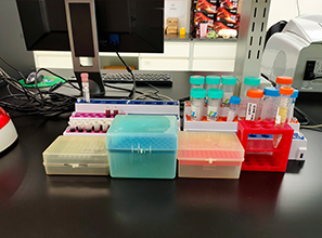 胰腺癌正確治療