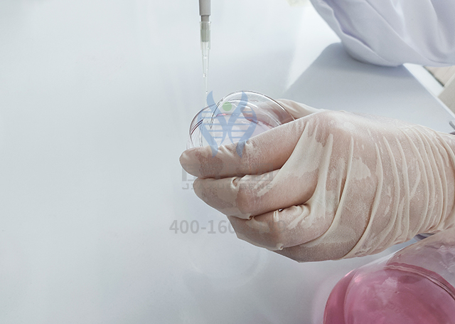 基因解碼揭密耳