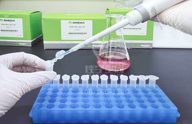 佳學(xué)基因新生兒