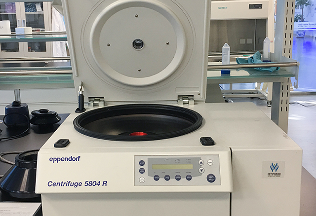 抑郁癥基因解碼