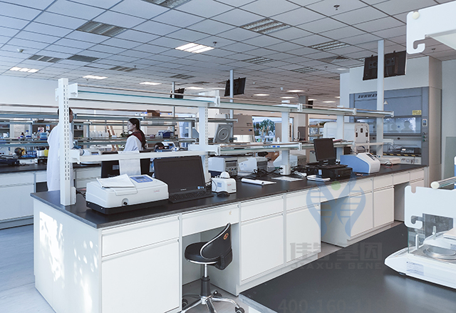 夫妻誰(shuí)的基因決定了孩子智商和相貌？