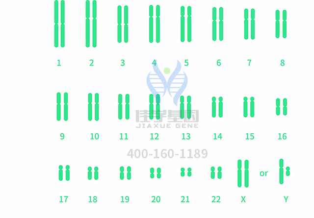 【佳學(xué)基因檢測(cè)】做多發(fā)性骨髓瘤易位1114型基因解碼、<a  data-cke-saved-href=http://m.alivewithwords.com/tk/jiema/cexujishu/2021/31933.html href=http://m.alivewithwords.com/tk/jiema/cexujishu/2021/31933.html>基因檢測(cè)</a>需要多少錢？