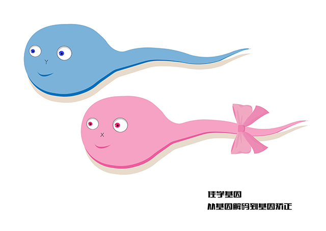 【佳學(xué)基因檢測】如何做白內(nèi)障20型多種類型基因解碼、<a href=http://m.alivewithwords.com/tk/jiema/cexujishu/2021/31933.html>基因檢測</a>？