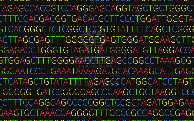 【佳學(xué)基因檢測