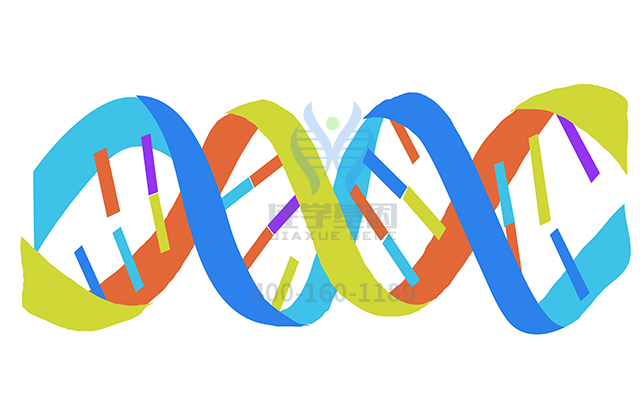 【佳學(xué)基因檢測(cè)】做BorroneDiRoccoCrovato綜合癥狀基因解碼、<a href=http://m.alivewithwords.com/tk/jiema/cexujishu/2021/31933.html>基因檢測(cè)</a>的費(fèi)用是多少？