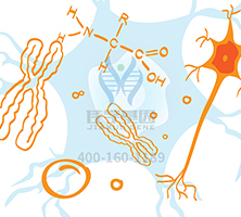 【佳學(xué)基因檢測】做Denys-Drash綜合征基因解碼、<a  data-cke-saved-href=http://m.alivewithwords.com/tk/jiema/cexujishu/2021/31933.html href=http://m.alivewithwords.com/tk/jiema/cexujishu/2021/31933.html>基因檢測</a>需要多少錢？