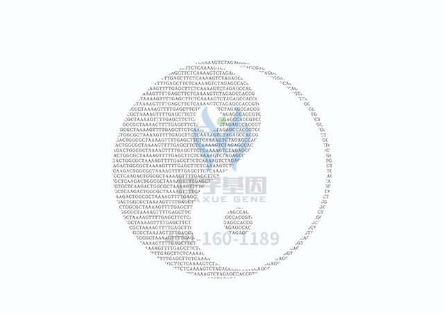 【佳學(xué)基因檢測(cè)】做網(wǎng)狀色素皮病基因解碼、<a  data-cke-saved-href=http://m.alivewithwords.com/tk/jiema/cexujishu/2021/31933.html href=http://m.alivewithwords.com/tk/jiema/cexujishu/2021/31933.html>基因檢測(cè)</a>需要多長(zhǎng)時(shí)間？