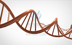 【佳學(xué)基因檢測】怎么做常染色體隱性廣泛性甲狀腺激素抵抗基因解碼、<a href=http://m.alivewithwords.com/tk/jiema/cexujishu/2021/31933.html>基因檢測</a>?