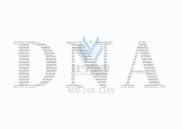 【佳學基因檢測】做常染色體顯性分離生長激素缺乏癥基因解碼、<a href=http://m.alivewithwords.com/tk/jiema/cexujishu/2021/31933.html>基因檢測</a>需要到總部嗎？