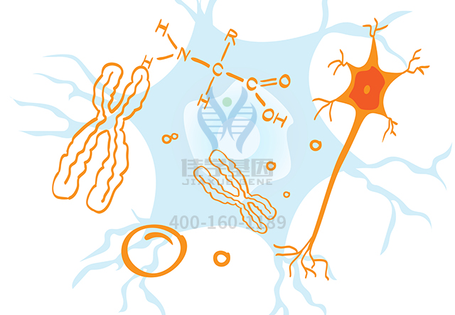 【佳學(xué)基因檢測(cè)】怎么做生精障礙12型基因解碼、<a href=http://m.alivewithwords.com/tk/jiema/cexujishu/2021/31933.html>基因檢測(cè)</a>?