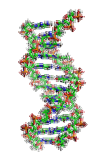 阿替洛爾藥物<a href=http://m.alivewithwords.com/tk/jiema/cexujishu/2021/31933.html>基因檢測</a>