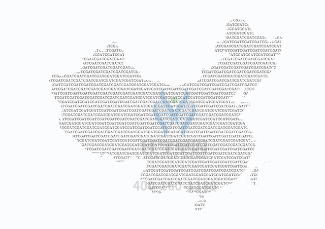 【佳學(xué)基因檢測】SDHB相關(guān)疾病基因解碼、<a href=http://m.alivewithwords.com/tk/jiema/cexujishu/2021/31933.html>基因檢測</a>可以只做基因解碼嗎？