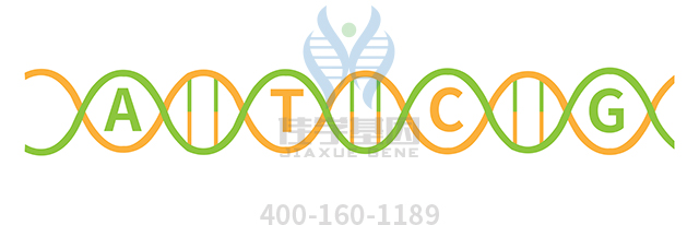 【佳學(xué)基因檢測】Townes-Brocks-branchiootorenal樣綜合征基因解碼、<a href=http://m.alivewithwords.com/tk/jiema/cexujishu/2021/31933.html>基因檢測</a>可以只做基因解碼嗎？