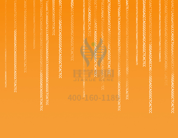 【佳學(xué)基因解碼-<a href=http://m.alivewithwords.com/tk/jiema/cexujishu/2021/31933.html>基因檢測(cè)</a>】這些舉動(dòng)竟讓<font color='red'>脫發(fā)</font>的女孩們重拾自信！