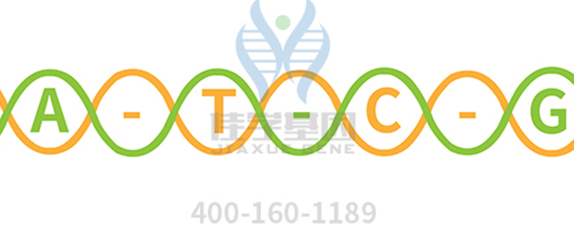 【佳學(xué)基因檢測(cè)】根本?。∟emoto disease)基因解碼、<a href=http://m.alivewithwords.com/tk/jiema/cexujishu/2021/31933.html>基因檢測(cè)</a>