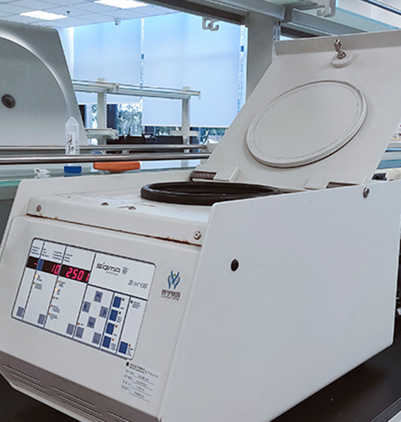 【佳學基因檢測】斯塔加特黃斑變性病（<font color='red'><font color='red'>stargardt</font></font> macular degeneration)基因解碼、<a href=http://m.alivewithwords.com/tk/jiema/cexujishu/2021/31933.html>基因檢測</a>