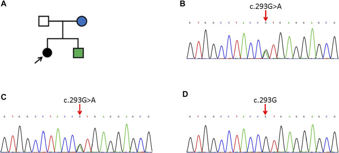 變異性紅斑角化癥找佳學(xué)基因