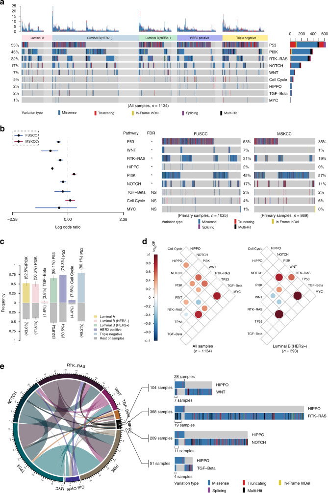 圖4醫(yī)學(xué)基因檢測(cè)如何幫助乳腺癌患者找到靶向藥物？