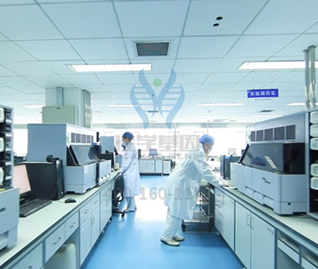 【佳學(xué)基因-基因