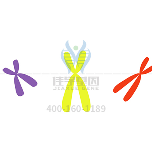 【佳學(xué)基因-基因