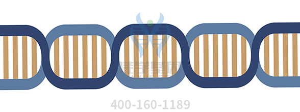 【佳學(xué)基因-基因
