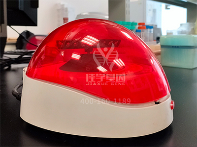 藥房主任如何詢(xún)問(wèn)關(guān)于COX6B1P2的疾病風(fēng)險(xiǎn)評(píng)估知識(shí)