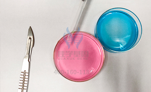 <b>【佳學(xué)基因檢測</b>