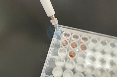 <b>【佳學(xué)基因檢測(cè)</b>