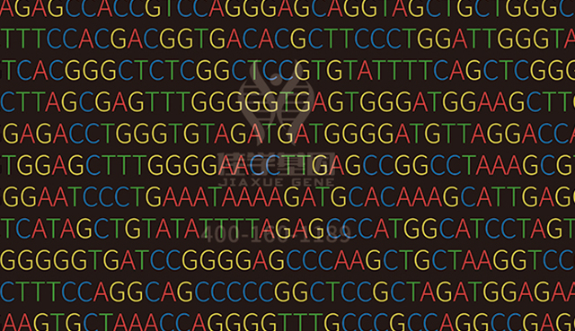 <b>【佳學(xué)基因檢測(cè)</b>