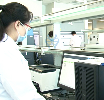 染色體疾病篩查DMD存在突變，如何理解？