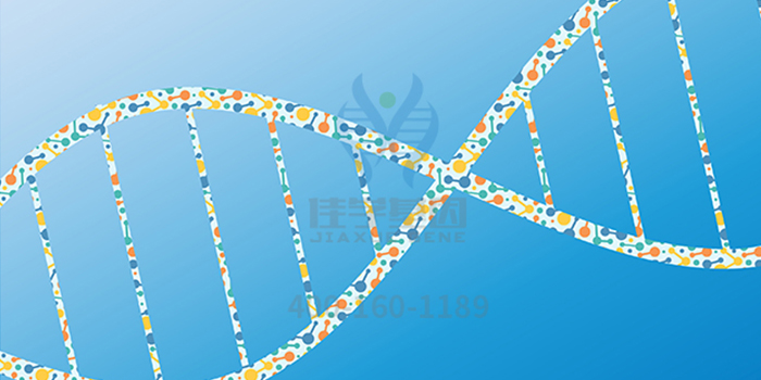 破解DCC基因突變后，可以知道哪些秘密信息？
