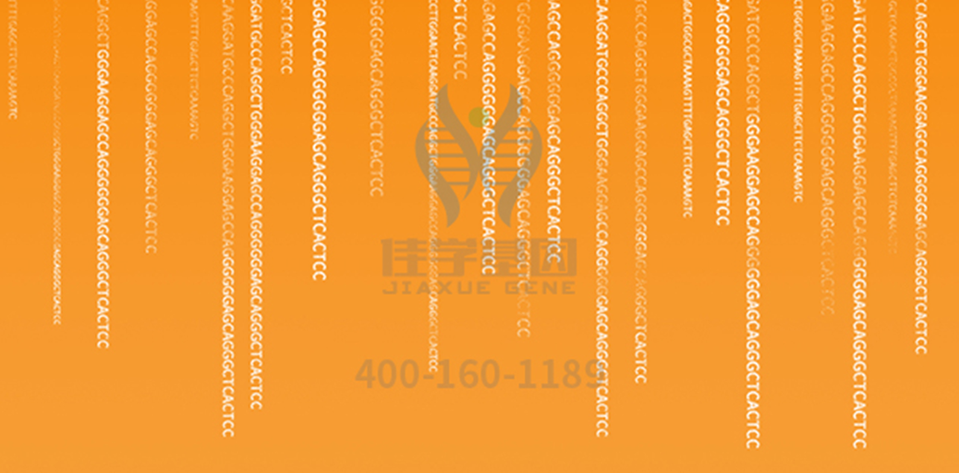 解密DKC1基因檢測結(jié)果，如何指導(dǎo)一個(gè)的健康？