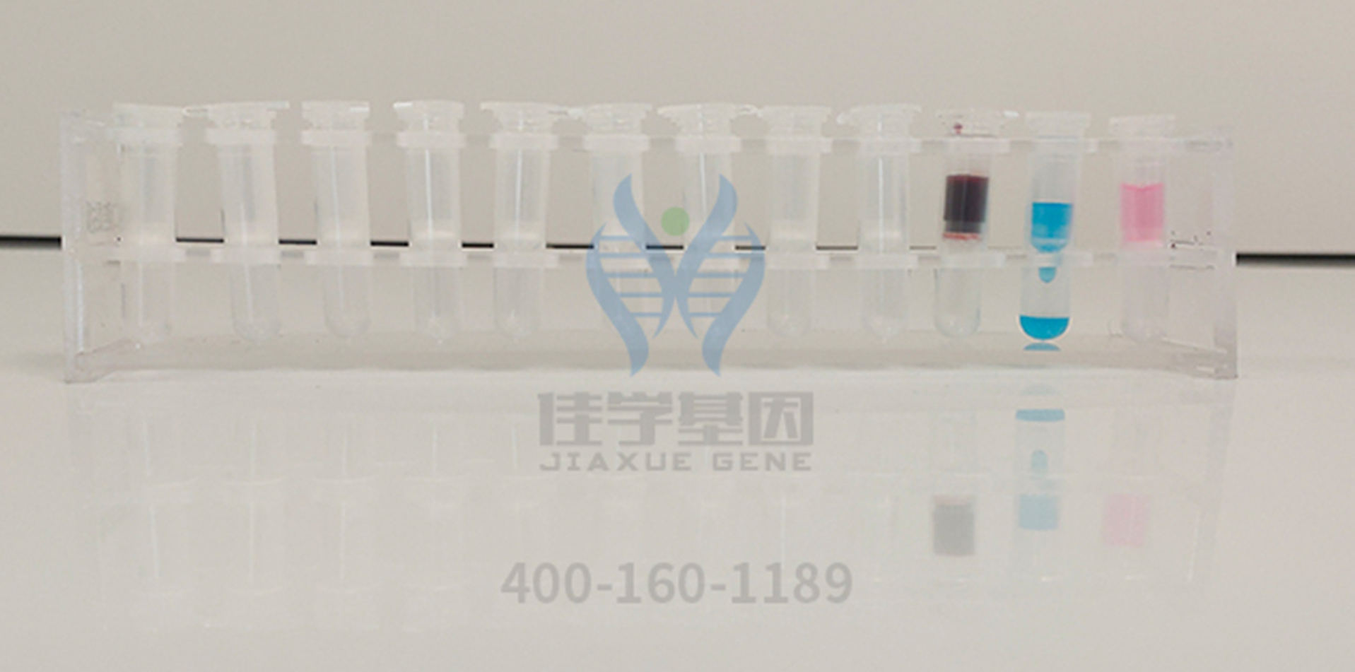 <b>【佳學基因檢測</b>