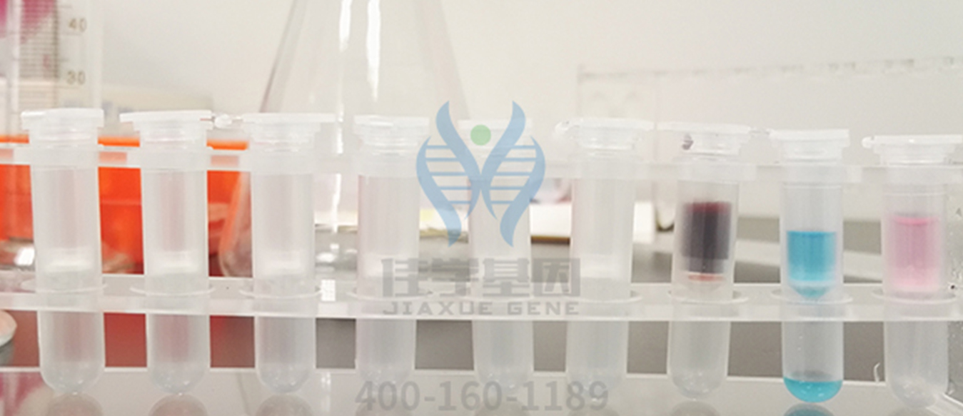 <b>【佳學基因檢測</b>