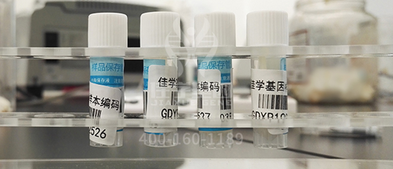 <b>【佳學基因檢測</b>